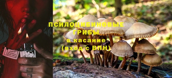 бутират Алзамай