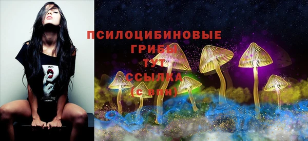 спайс Абдулино