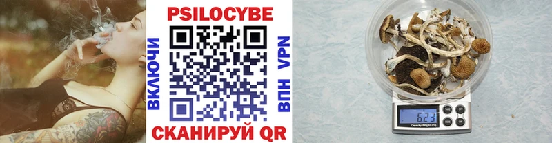 Галлюциногенные грибы ЛСД  площадка клад  Нолинск 